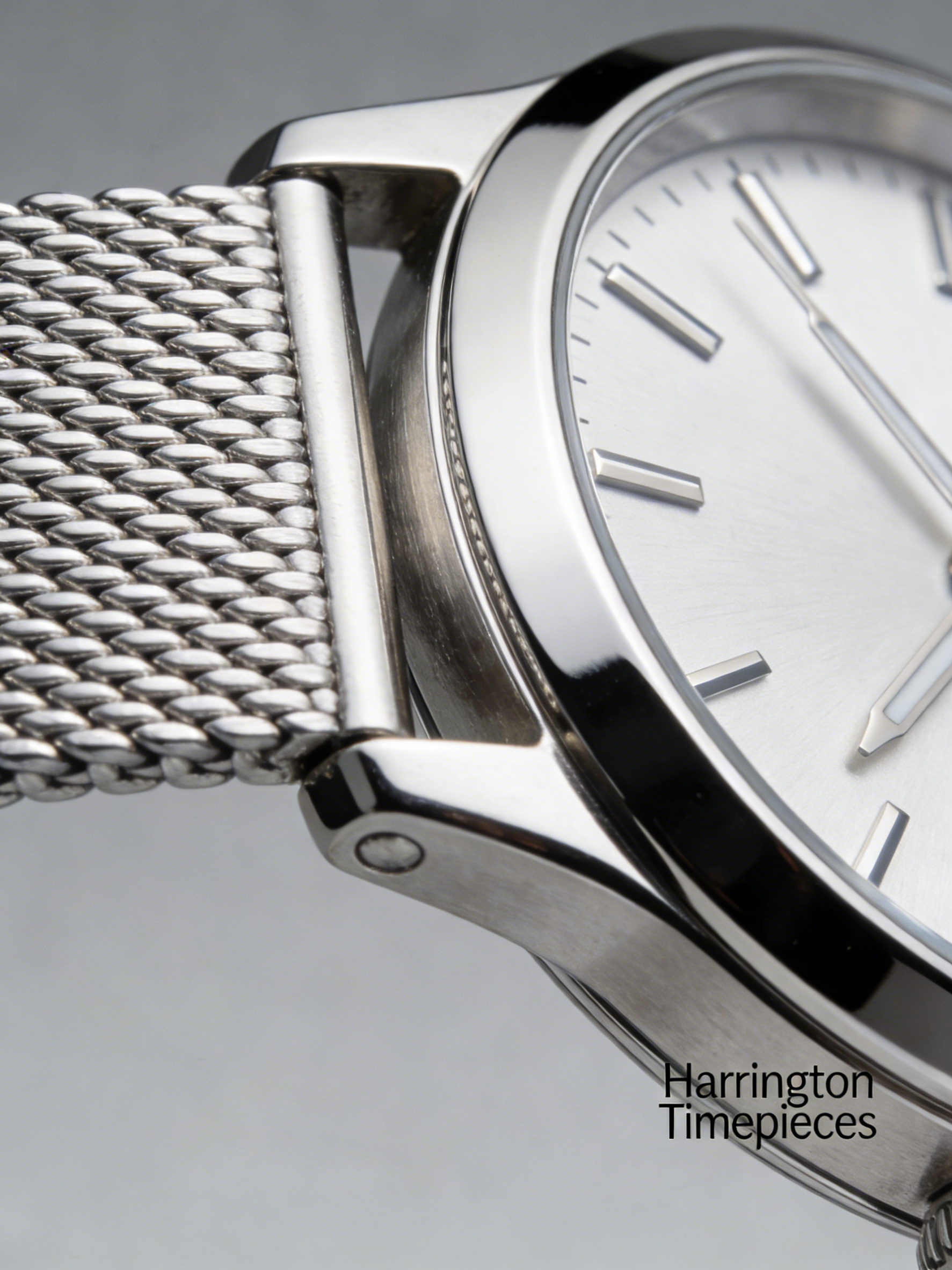 Silver Mesh detail